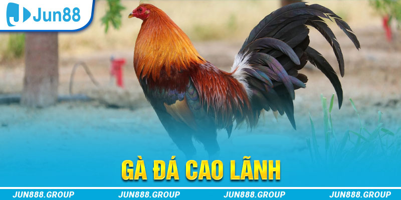 tai game vua bai ve may tinh
