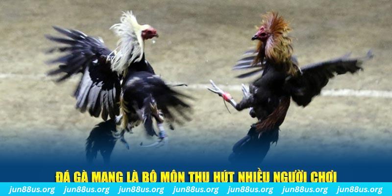 đăng nhập sòng bạc số 1