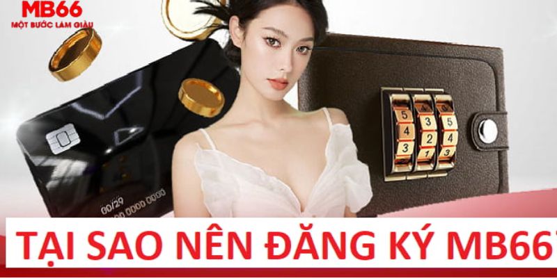 trực tiếp gà chọi c1