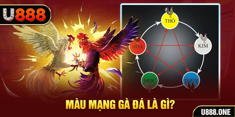 V8 Game Bài 3d
